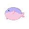 Chunky whale
